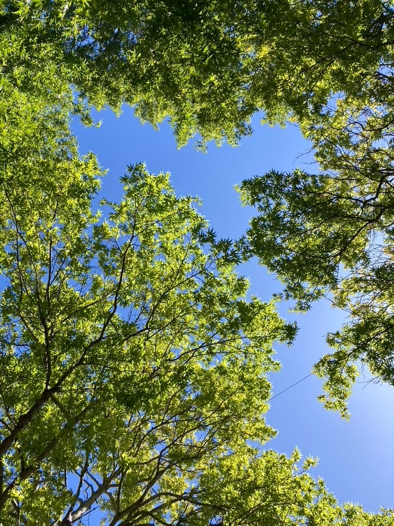 Bonus joy while I'm away