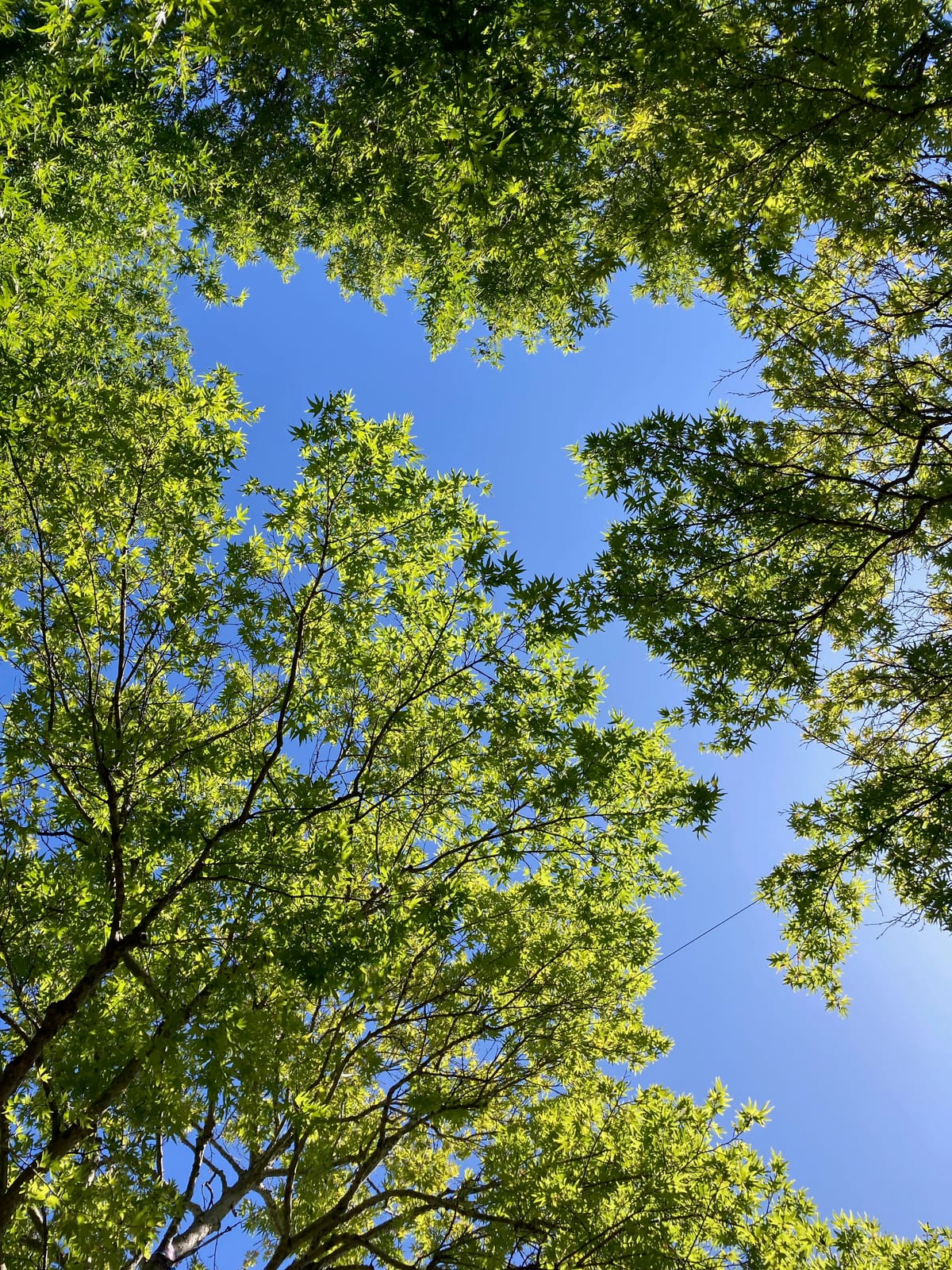 Planning for 2024: My Journal Template For Annual Reflection, Quarterly Goals, and Weekly Plans