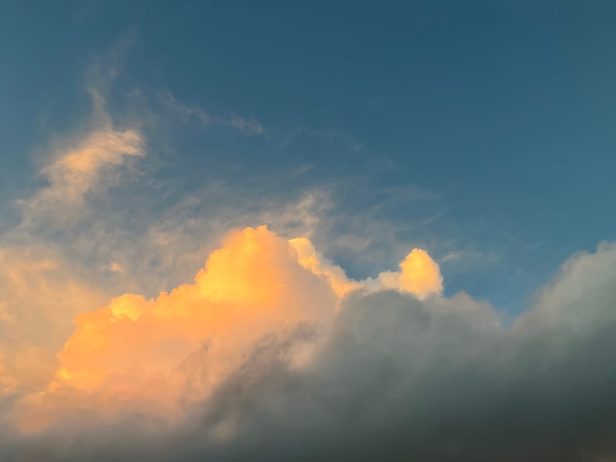 What do you need to let go?